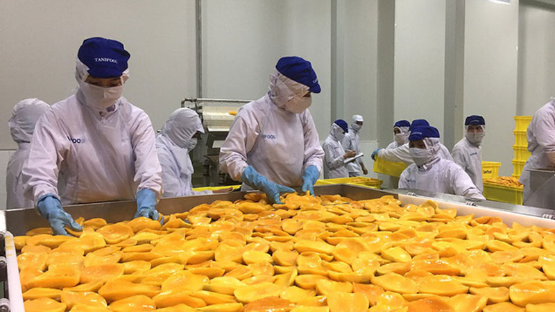 Việt Nam calls for investment in fruit and vegetable processing