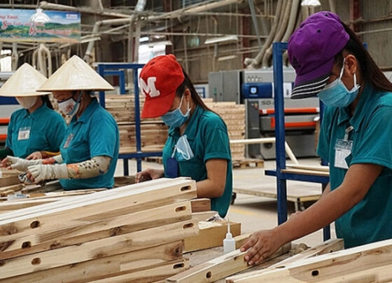 Ngành gỗ Việt Nam bắt tay vào việc thực hiện chuyển đổi số