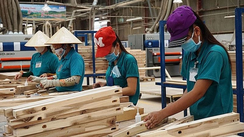 Ngành gỗ Việt Nam bắt tay vào việc thực hiện chuyển đổi số