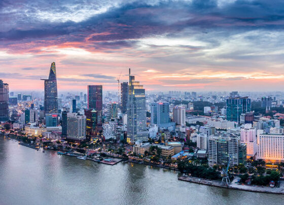 PM, Gov't Advisory Group aim to turn HCM City