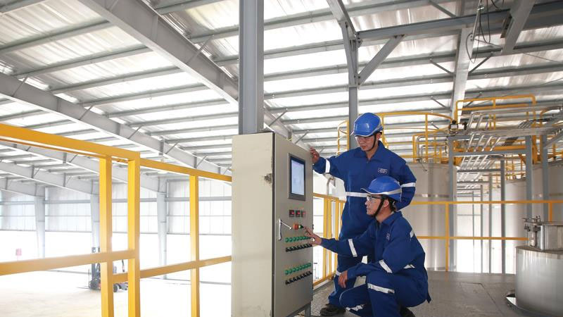 Despite COVID-19, German companies hell-bent on investing in Vietnam