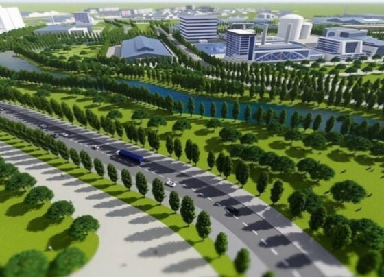 Bình Định duyệt quy hoạch khu công nghiệp, đô thị Becamex khu A rộng 1.425ha