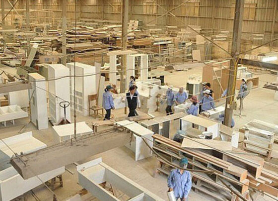 Công ty Nano sắp xây dựng thêm nhà máy chế biến gỗ xuất khẩu rộng hơn 10 ha
