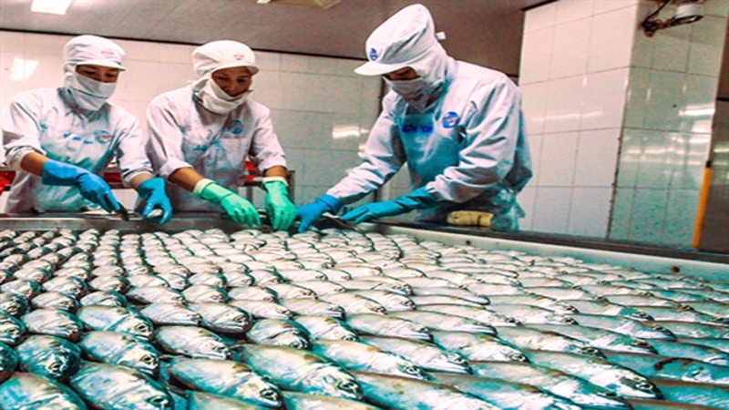 Cold storage demand surges during covid-19
