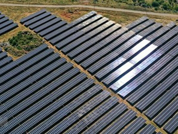 Bac Lieu attracts lion’s share of FDI capital in first four months