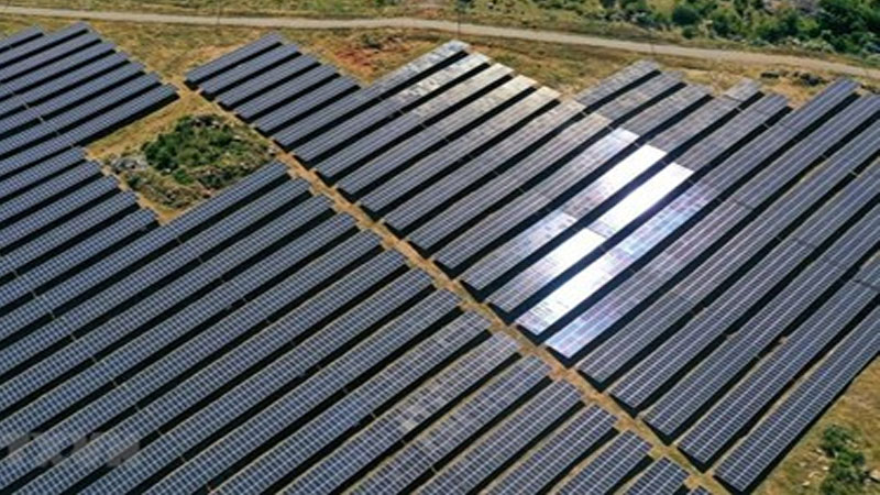 Bac Lieu attracts lion’s share of FDI capital in first four months