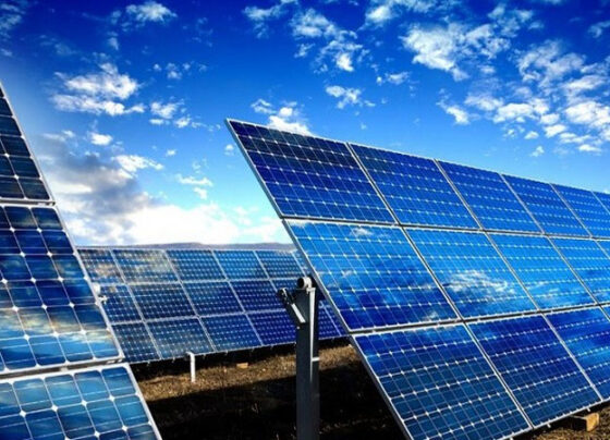 EVN SPC invests in solar power plant on Con Dao