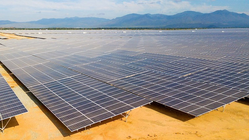 Long An chuyển gần 200ha đất rừng sang làm dự án điện mặt trời