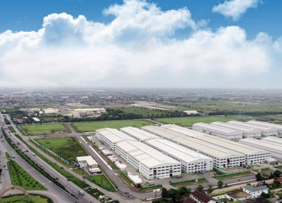 An Phát Holdings phát hành hơn 4 triệu cổ phiếu đầu tư dự án nhựa sinh học tự hủy
