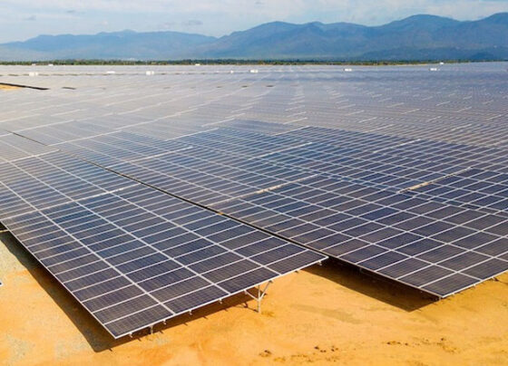 PECC2 có thêm 2 hợp đồng EPC xây dựng nhà máy điện mặt trời tại Quảng Trị