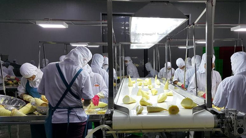 Đầu tư nhà máy chế biến rau quả DOVECO