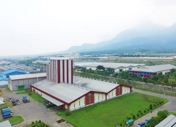 EVFTA có hiệu lực sẽ kéo vốn FDI từ Hà Lan vào Việt Nam