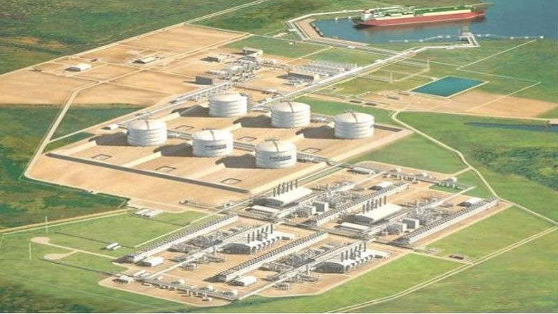 Xem xét kiến nghị về thủ tục chuẩn bị đầu tư dự án Nhà máy Nhiệt điện khí LNG Bạc Liêu