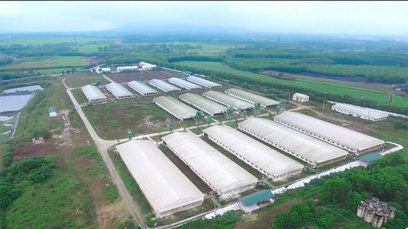 Hà Tĩnh: Điều chỉnh mức đầu tư tại dự án chăn nuôi bò Bình Hà từ 4.200 tỷ xuống 1.800 tỷ