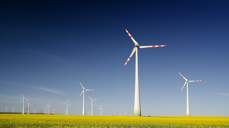 Vestas wins 101MW wind turbines supply order in Vietnam