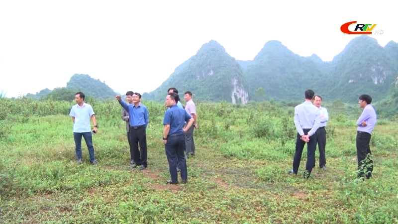 Kiểm tra công tác chuẩn bị Lễ động thổ Dự án chăn nuôi bò sữa và chế biến sữa công nghệ cao tỉnh Cao Bằng