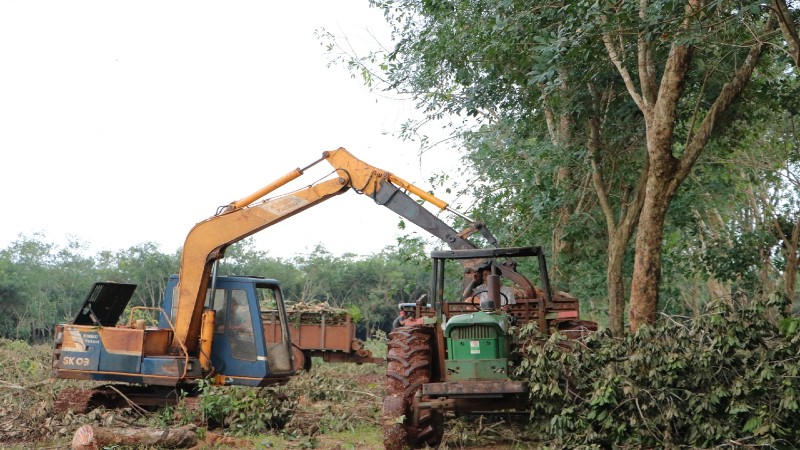 Bàn giao mặt bằng 3 bên dự án sân bay Long Thành