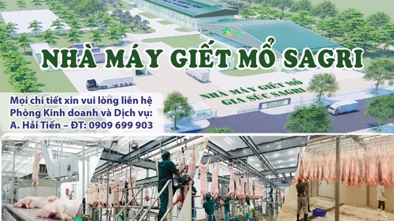 Nhà máy giết mổ gia súc Sagri – công nghệ châu âu tại TP.HCM