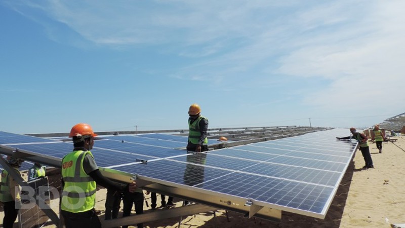 Kiến nghị chuyển mục đích sử dụng 28,29 ha rừng để xây dựng Nhà máy điện mặt trời Phù Mỹ 3