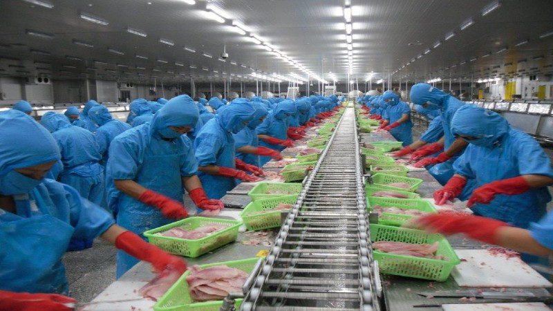 Điều chỉnh chủ trương đầu tư dự án Xí nghiệp chế biến thuỷ sản đông lạnh số II