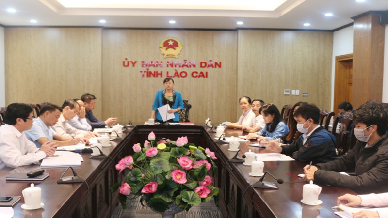 Phó Chủ tịch UBND tỉnh Giàng Thị Dung làm việc với Nhà đầu tư Trường Quốc tế Lào Cai