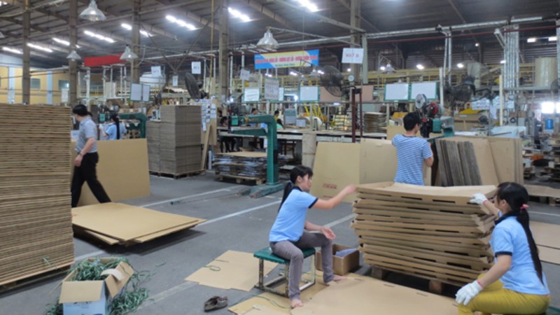 Chủ trương đầu tư Dự án Nhà máy sản xuất bao bì carton
