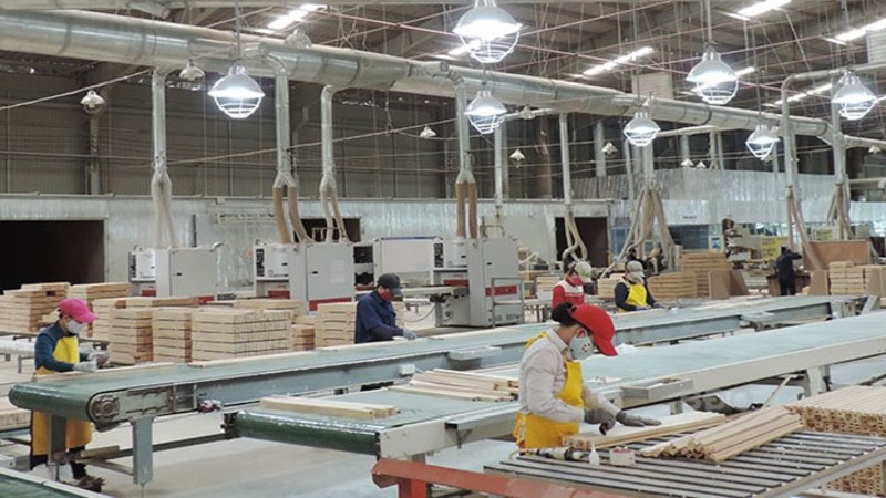 Công ty TNHH Tân Phước đầu tư mở rộng Nhà máy chế biến gỗ