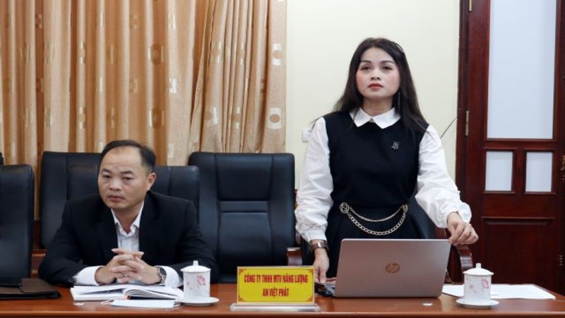 Phó Chủ tịch thường trực UBND tỉnh làm việc với Công ty TNHH 1 thành viên Năng lượng An Việt Phát