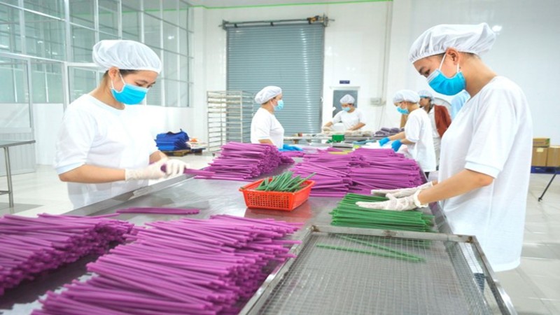 Đồng ý cho Công ty TNHH An Duy Khang chuyển mục đích thuê đất