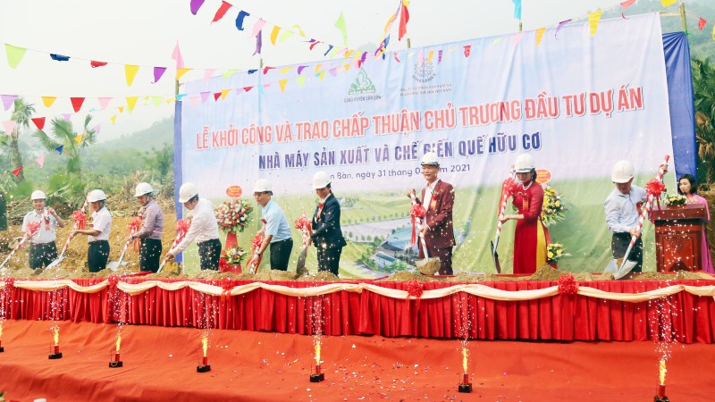 Khởi công Dự án Nhà máy sản xuất và chế biến quế hữu cơ đầu tiên tại Văn Bàn