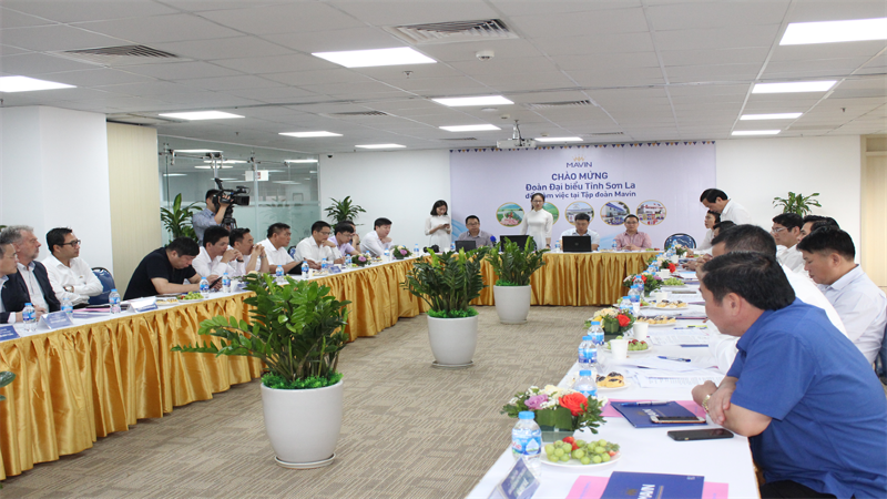 Mavin đề xuất đầu tư Tổ hợp Dự án chăn nuôi và chế biến xuất khẩu 600 tỷ đồng tại Sơn La