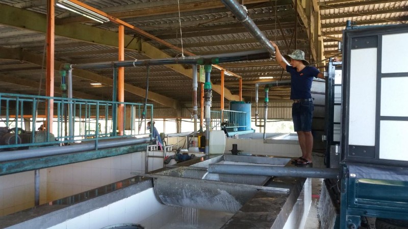 Quyết định Chấp thuận điều chỉnh chủ trương đầu tư đồng thời chấp thuận nhà đầu tư của dự án “Dự án đầu tư nhà máy chế biến mủ cao su Mô Rai” của Công ty TNHH MTV Cao su ChưMomRay