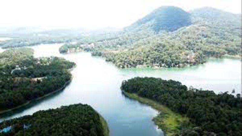 Hơn 163,7 ha rừng chuyển đổi mục đích sử dụng