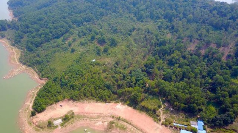 Thái Nguyên chuyển đổi hơn 119 ha đất rừng thực hiện loạt dự án