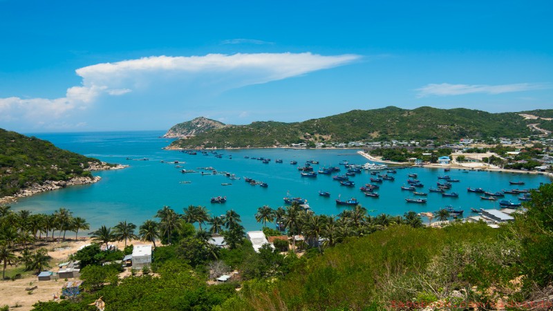 Ninh Thuận tìm chủ đầu tư cho dự án Khu đô thị mới Phủ Hà gần 300 tỷ đồng
