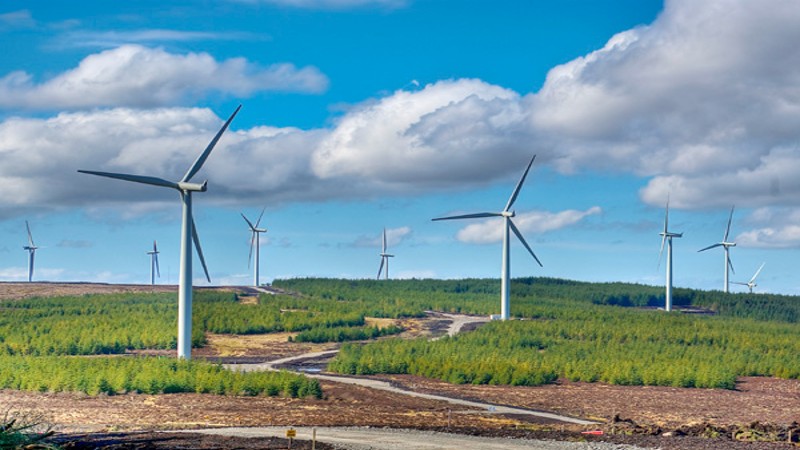Sembcorp Industries và BCG Energy đặt mục tiêu phát triển 1,5 GW năng lượng tái tạo