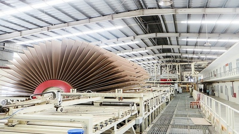 Thu hút thêm 01 dự án chế biến gỗ vào cụm công nghiệp Gò Cầy tại huyện Tây Sơn