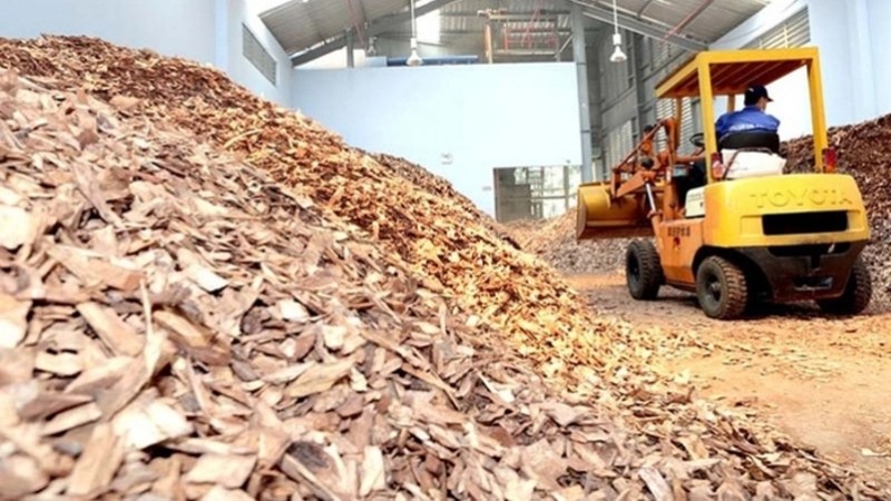 Hà Tĩnh: An Việt Phát muốn làm nhà máy điện sinh khối 8.500 tỷ