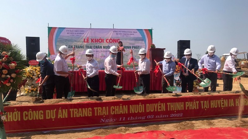 Kon Tum: Khởi công dự án trang trại chăn nuôi lợn 123 tỷ đồng