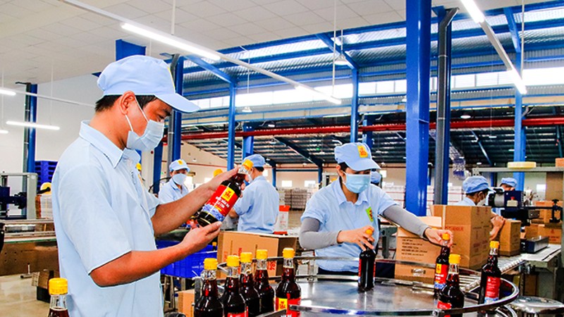 Công ty Cổ phần Thủy sản 584 Nha Trang: Đầu tư nâng tầm thương hiệu