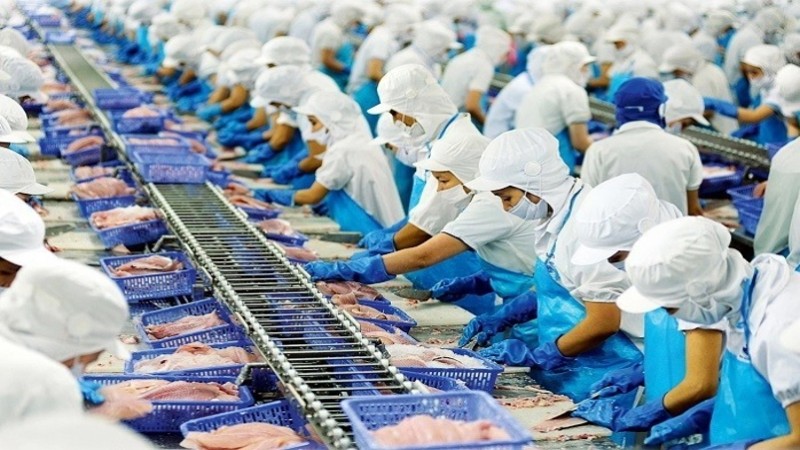 Vĩnh Hoàn lên kế hoạch cổ tức 40%, rót 500 tỷ vào nhà máy chế biến trái cây