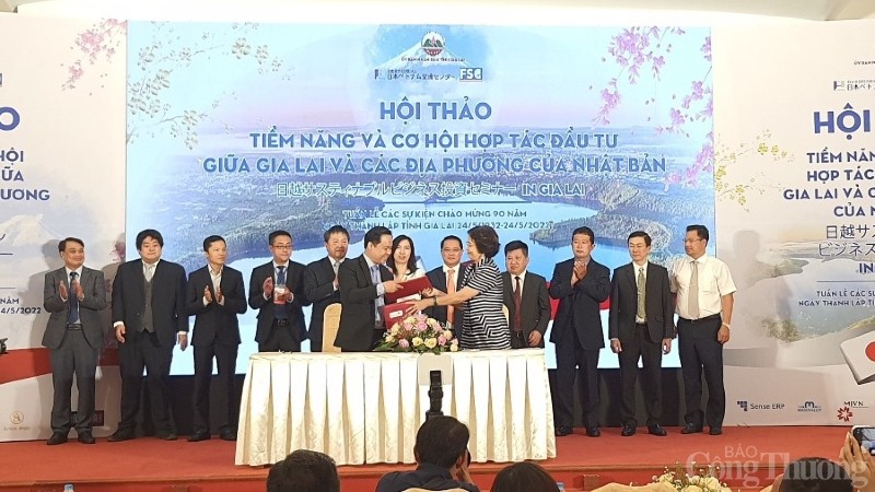 Gia Lai kêu gọi doanh nghiệp Nhật Bản đầu tư vào công nghiệp chế biến, công nghiệp năng lượng tái tạo