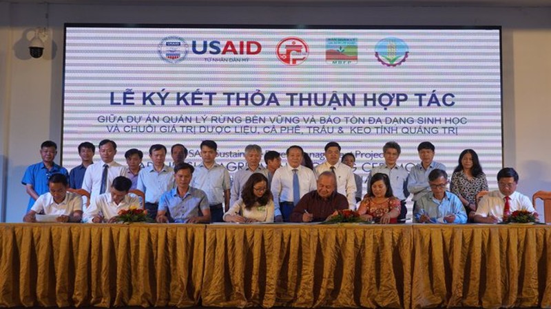 Quảng Trị: Đầu tư 52 tỷ đồng phát triển kinh tế thảo dược
