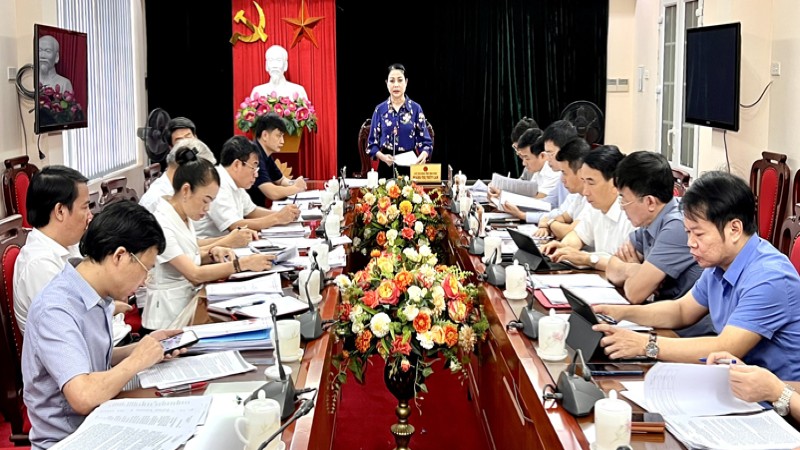Vĩnh Phúc: Tập trung tháo gỡ vướng mắc để triển khai các dự án trọng điểm