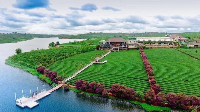 Đambri Land muốn làm tổ hợp dịch vụ và khách sạn gần 1.000 tỷ tại Lâm Đồng