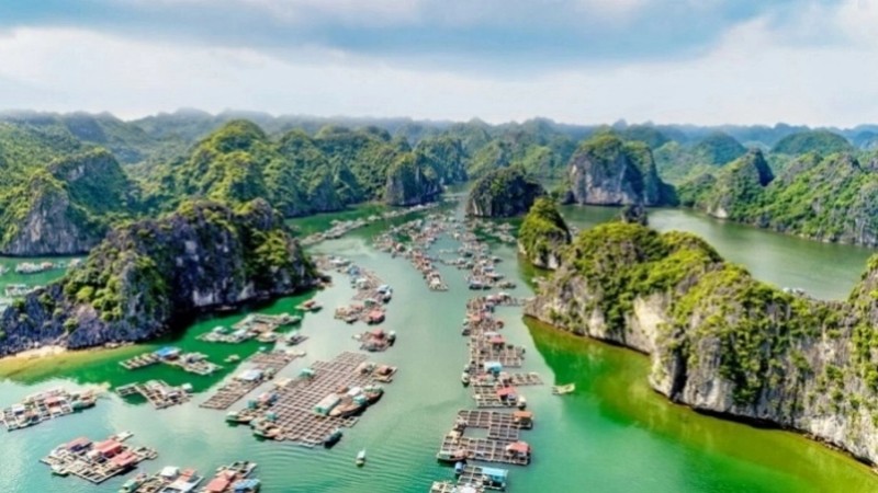 Hải Phòng đấu giá lần hai Khu du lịch vịnh trung tâm Cát Bà, khởi điểm hơn 2.100 tỷ