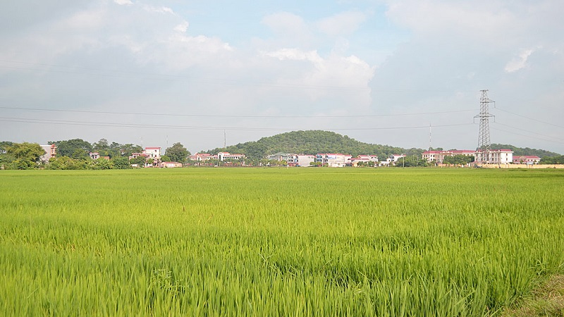 Bắc Giang sẽ thu hồi, chuyển đổi hơn 1.000 ha đất lúa làm 390 dự án, có nhiều khu đô thị và đường lớn