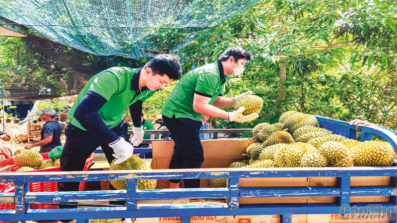 Mở cơ hội kết nối kinh doanh, đầu tư doanh nghiệp Trung Quốc và doanh nghiệp ĐBSCL
