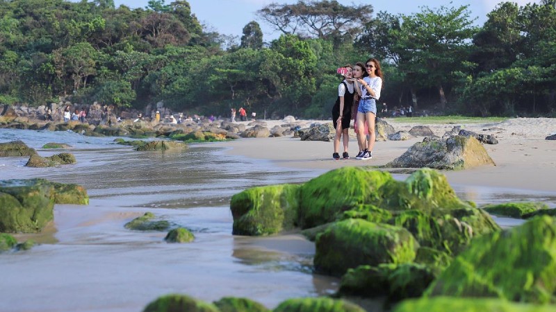 Đà Nẵng phê duyệt quy hoạch chi tiết Công viên sinh thái và Quảng trường Nam Ô