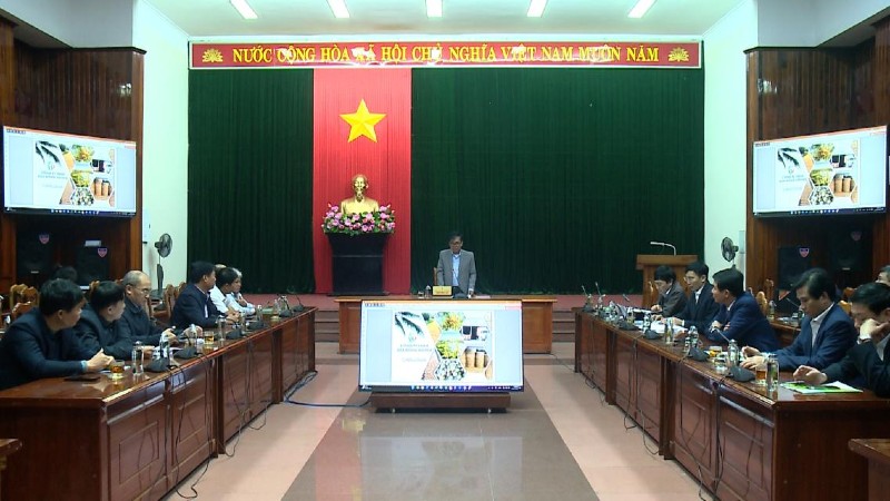 UBND tỉnh Quảng Bình làm việc với Công ty TNHH Dừa Đông Dương